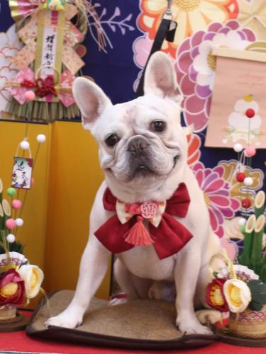 20240107ブーくん